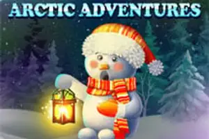 Arctic Adventures