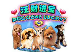 Doggone Lucky