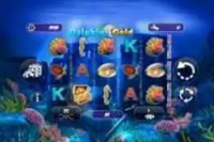 Dolphins Gold