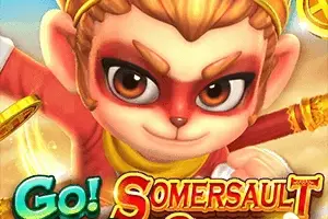 Go!Go! Somersault Cloud