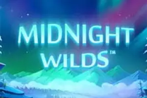 Midnight Wlilds
