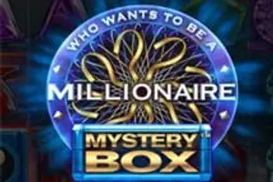 Millionaire Mystery Box