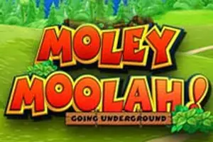 Moley Moolah