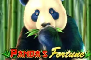 Pandas Fortune