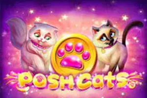 Posh Cats