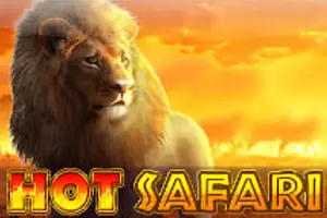 Safari