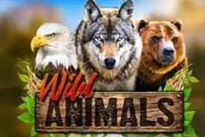 Wild Animals (Red Rake)