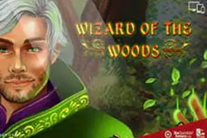 Wizard of the Woods